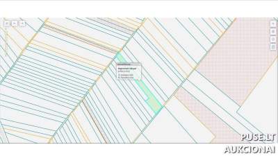 1/6 dalis žemės ūkio paskirties sklypo Pasvalio r. Girsūdų k. 357 EUR pradinė kaina