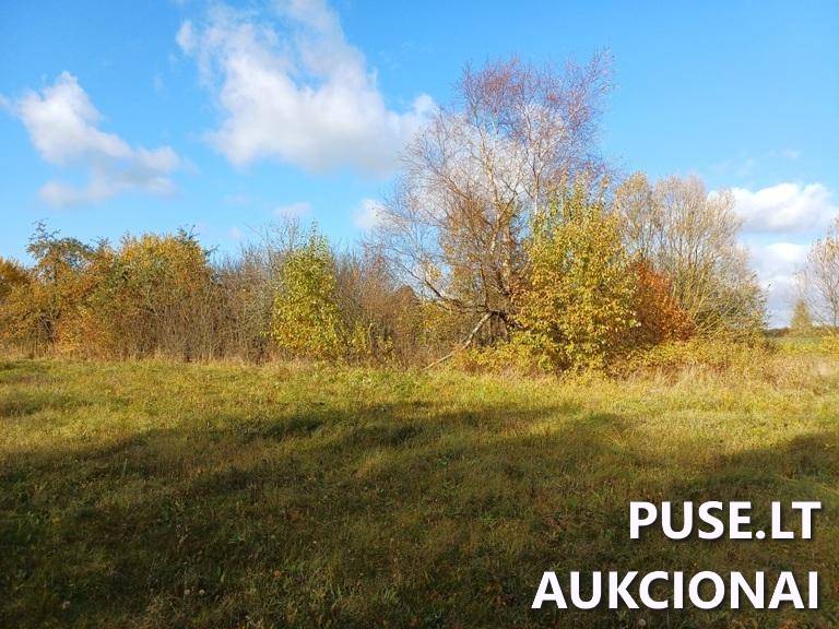 Gyvenamasis namas Pastatai Alyvų g. 3, 59369 Stakliškės, Stakliškių sen., Prienų r. sav. 3