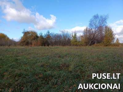 Parduodamas gyvenamasis namas su 0.3130 ha sklypu Prienų rajone, Stakliškių k., pradinė kaina 2100 EUR