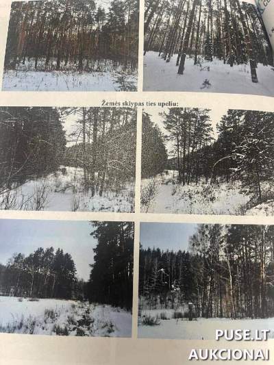 Žemės ūkio paskirties sklypas Druskininkų sav., Diržų k., 21.1519 ha, pradinė kaina 78000 EUR