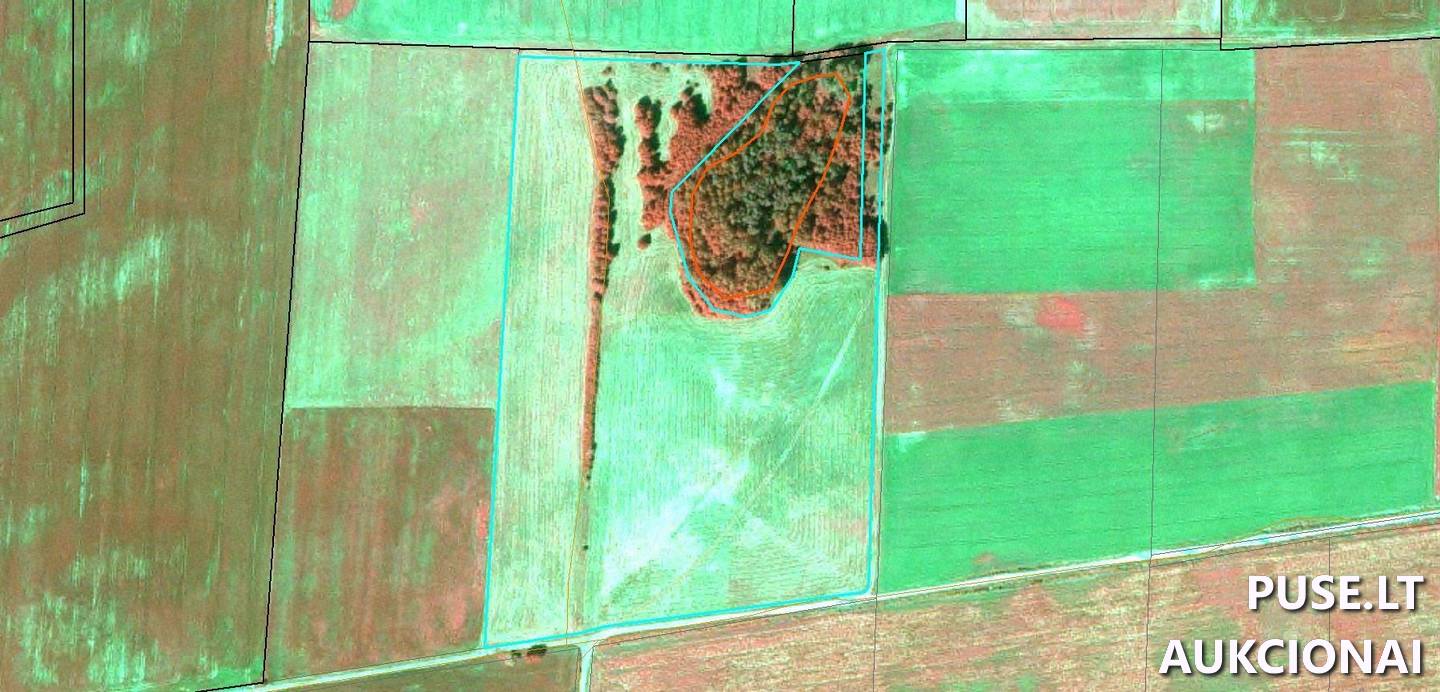 Žemės sklypas Sklypai Beržnavienė, Pilviškių sen., Vilkaviškio r. sav. 1