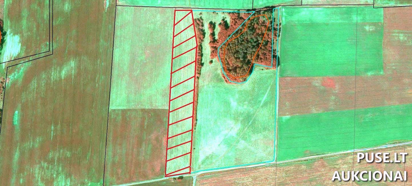 Žemės sklypas Sklypai Beržnavienė, Pilviškių sen., Vilkaviškio r. sav. 2