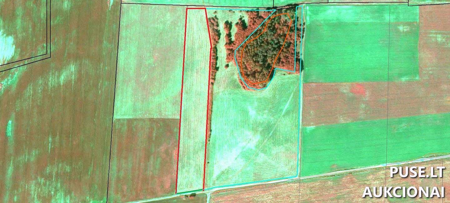 Žemės sklypas Sklypai Beržnavienė, Pilviškių sen., Vilkaviškio r. sav. 4