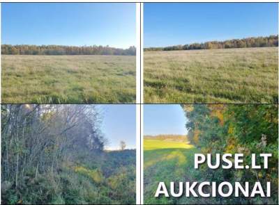 3,58 ha žemės ūkio ūkio sklypo dalis Šilutės r. Juodžių kaime parduodama už 3256 EUR