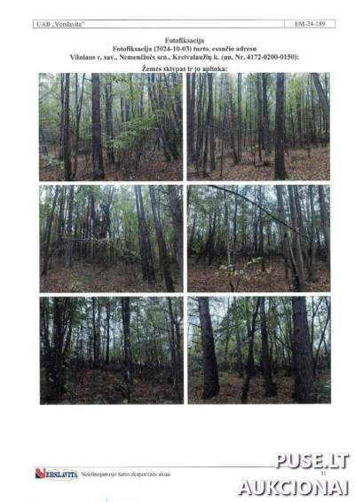 Parduodamas 1/1 dalies miško sklypas Vilniaus rajone, Kreivalaužių kaime, pradinė kaina 6400 EUR