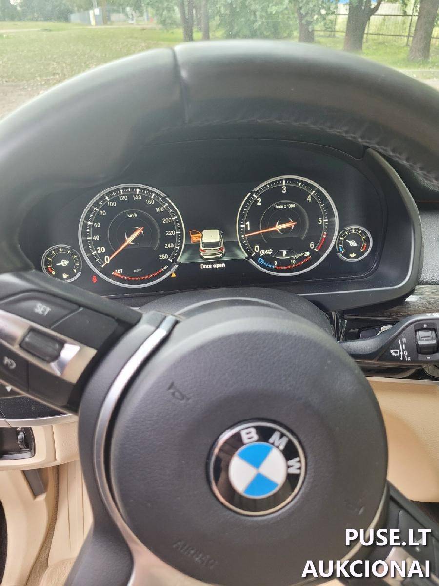 Automobilis BMW X5 xDrive 30d Lengvasis automobilis 11