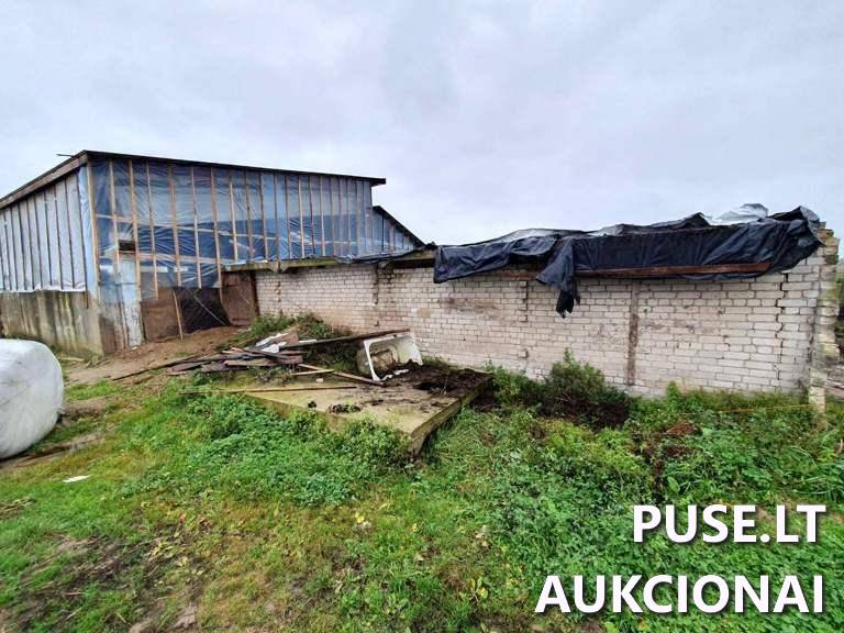 Ūkinis pastatas Pastatai Akmenos g. 37A, 75445 Gineikiai, Kaltinėnų sen., Šilalės r. sav. 7