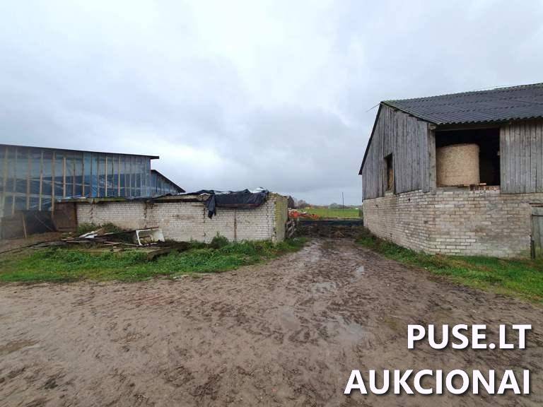 Ūkinis pastatas Pastatai Akmenos g. 37A, 75445 Gineikiai, Kaltinėnų sen., Šilalės r. sav. 8