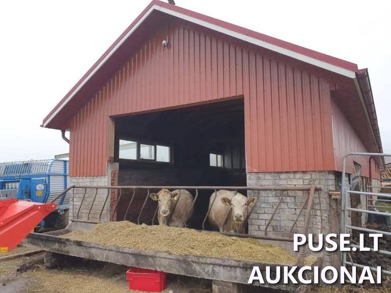 Ūkinis pastatas Pastatai Akmenos g. 39A, 75445 Gineikiai, Kaltinėnų sen., Šilalės r. sav. 3