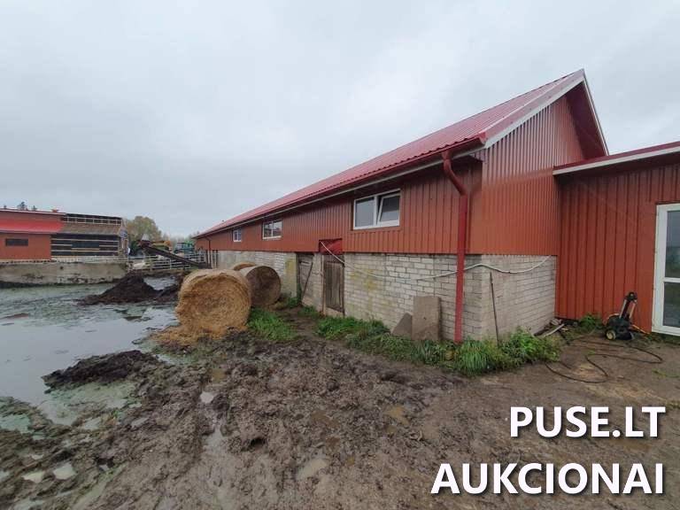 Ūkinis pastatas Pastatai Akmenos g. 39A, 75445 Gineikiai, Kaltinėnų sen., Šilalės r. sav. 4