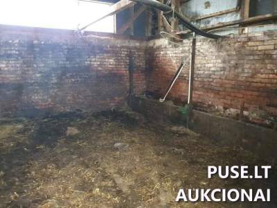 Ūkinis pastatas Šilalės rajone, Gineikių kaime, 1/8 dalis, su 400 EUR pradine kaina