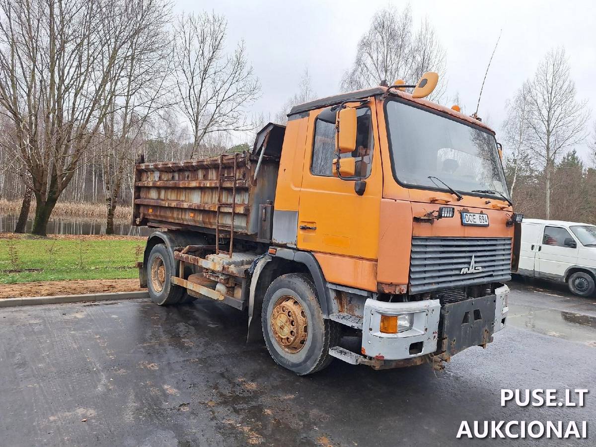 MAZ 555035 Krovininis automobilis virš 12 t. 2