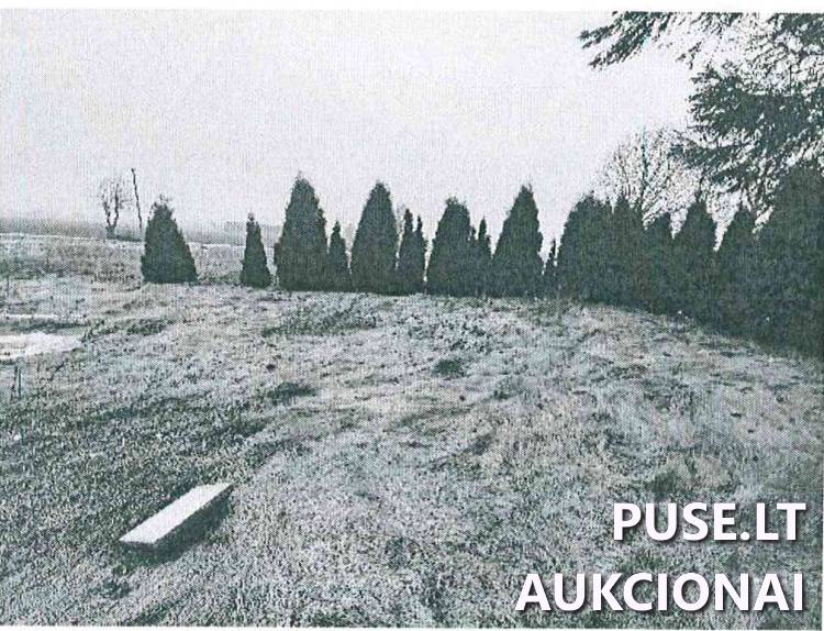 Žemės sklypas Sklypai Sūduonios g. 21, 69174 Šilavotas, Liudvinavo sen., Marijampolės sav. 5