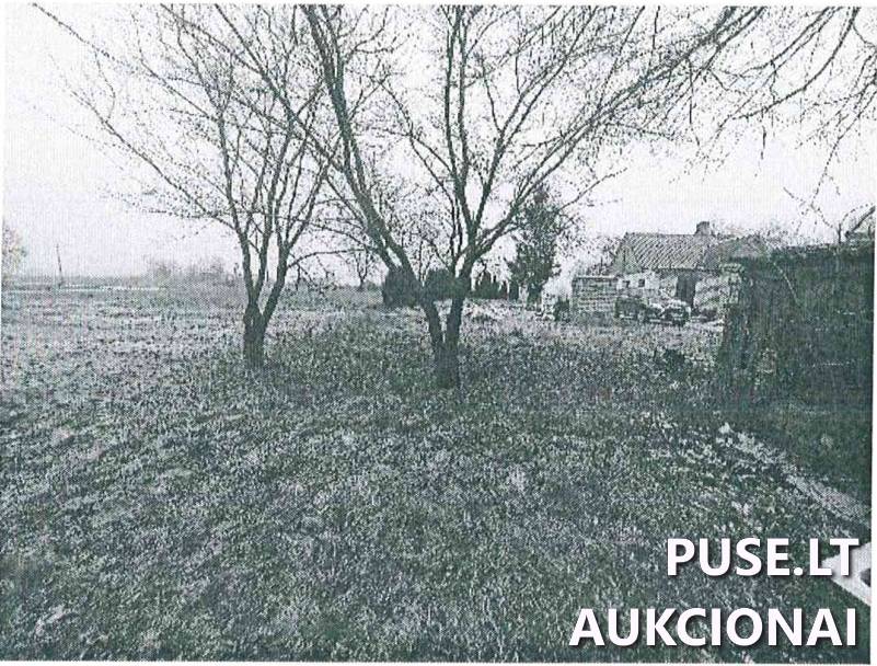 Žemės sklypas Sklypai Sūduonios g. 21, 69174 Šilavotas, Liudvinavo sen., Marijampolės sav. 6