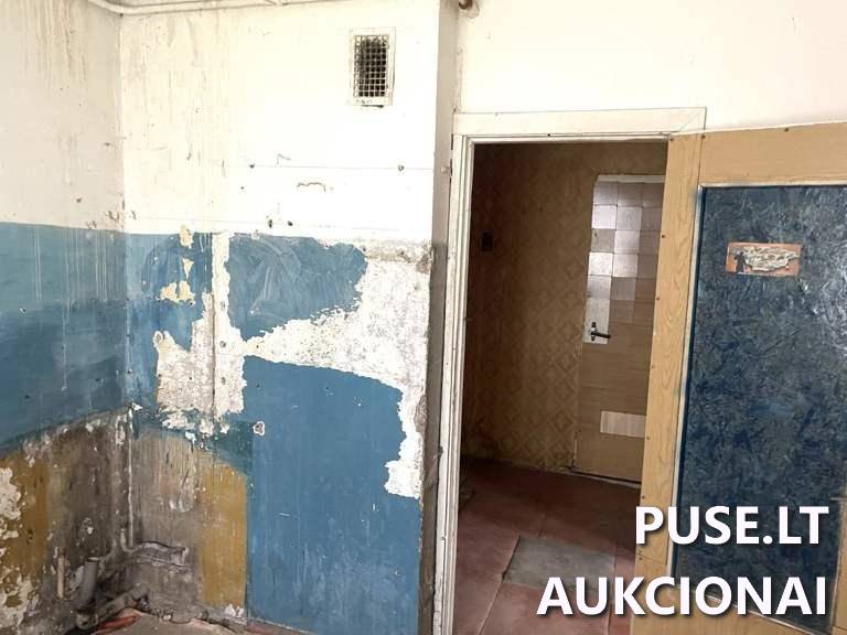 Butas Patalpos/Butai Karalyčios g. 3, 30158 Didžiasalis, Didžiasalio sen., Ignalinos r. sav. 13