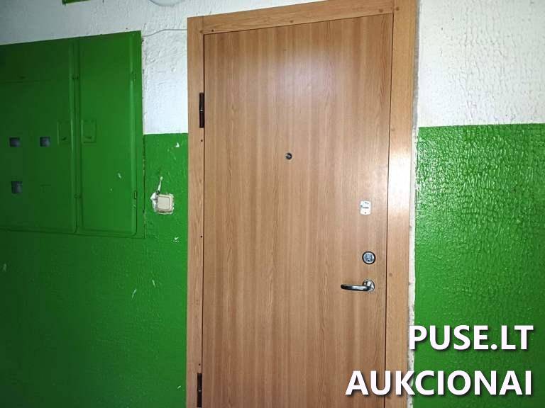 Butas Patalpos/Butai Agarinio g. 7, 30154 Didžiasalis, Didžiasalio sen., Ignalinos r. sav. 6
