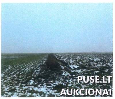 Žemės ūkio sklypo dalis Jurbarko r. sav., Giedrių k., parduodama už 720 EUR antstolių varžytynėse