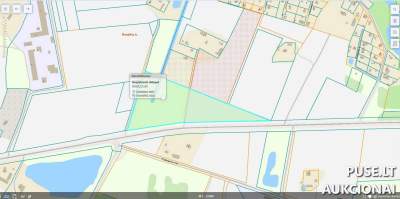 Žemės ūkio paskirties sklypas Panevėžio r. sav., Naujikų k., pradinė kaina 4640 EUR