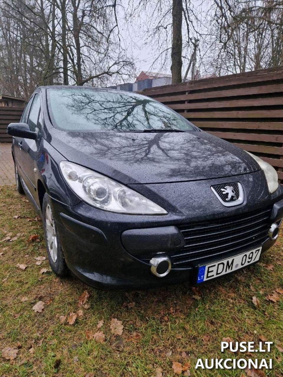 Lengvasis automobilis PEUGEOT 307 Lengvasis automobilis 2