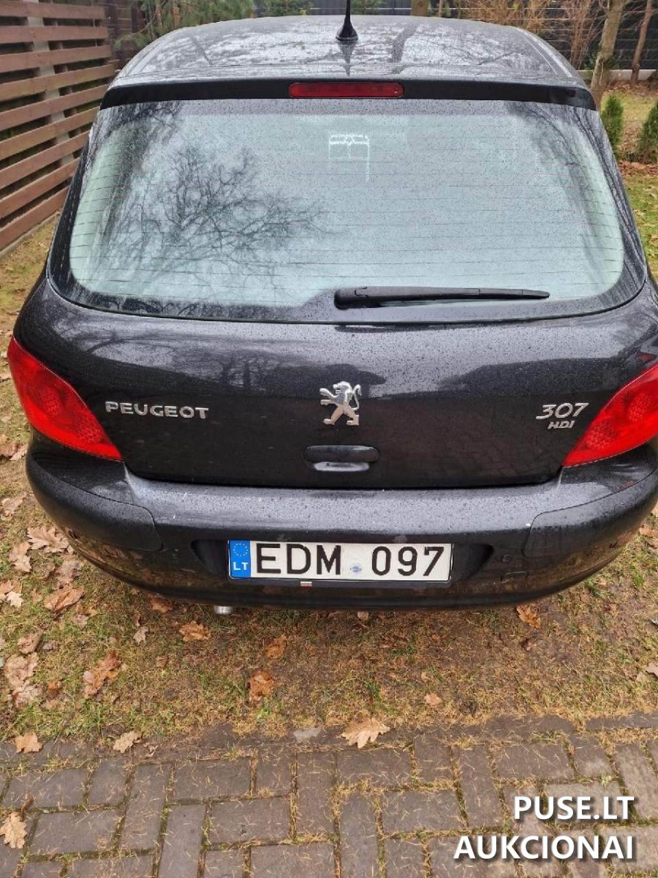 Lengvasis automobilis PEUGEOT 307 Lengvasis automobilis 3
