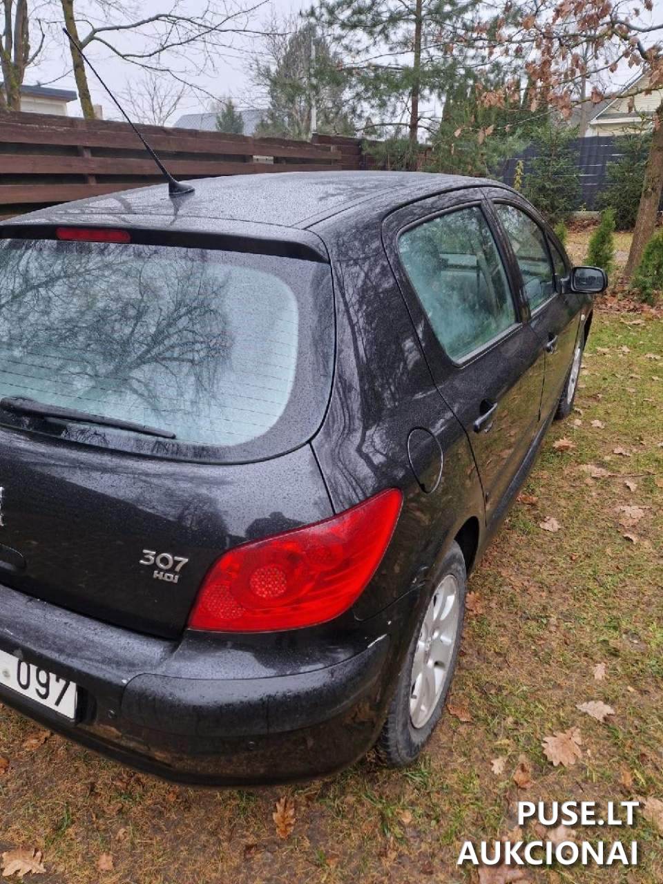 Lengvasis automobilis PEUGEOT 307 Lengvasis automobilis 4