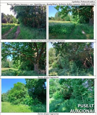 Parduodamas žemės sklypas Jonavos r. sav., Kunigiškių k. pradinė kaina 1520 EUR