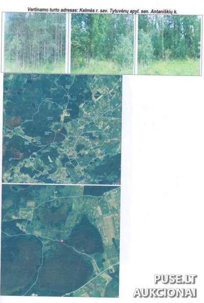 7.47 ha miško ūkio paskirties žemės sklypas Kelmės r. Antaniškių k. pradinė kaina 9120 EUR