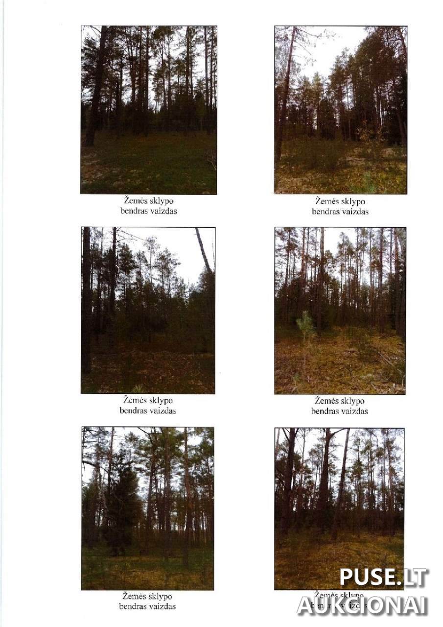 Žemės sklypas Sklypai Margionys, Marcinkonių sen., Varėnos r. sav. 3