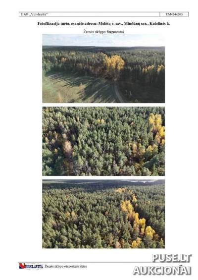 Žemės sklypas parduodamas Molėtų r. sav., Kašelinės k., pradinė kaina 16000 EUR