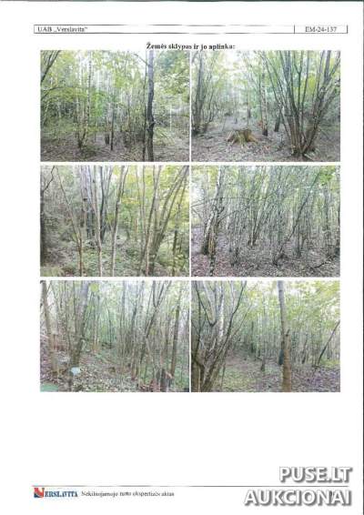 Miškų ūkio paskirties žemės sklypas Ignalinos rajone, Nevaišių kaime, pradinė kaina 7320 EUR