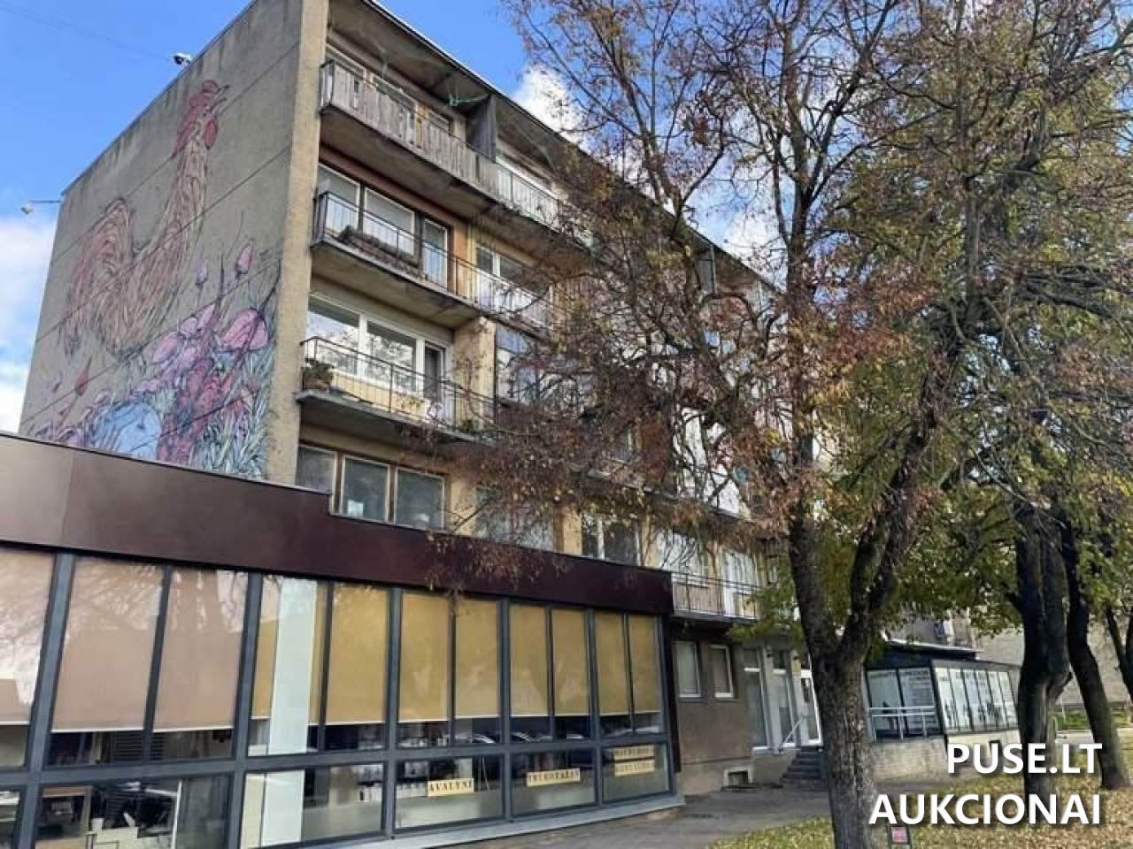 Butas Patalpos/Butai Dariaus ir Girėno g. 1, 29116 Anykščiai, Anykščių sen., Anykščių r. sav. 2