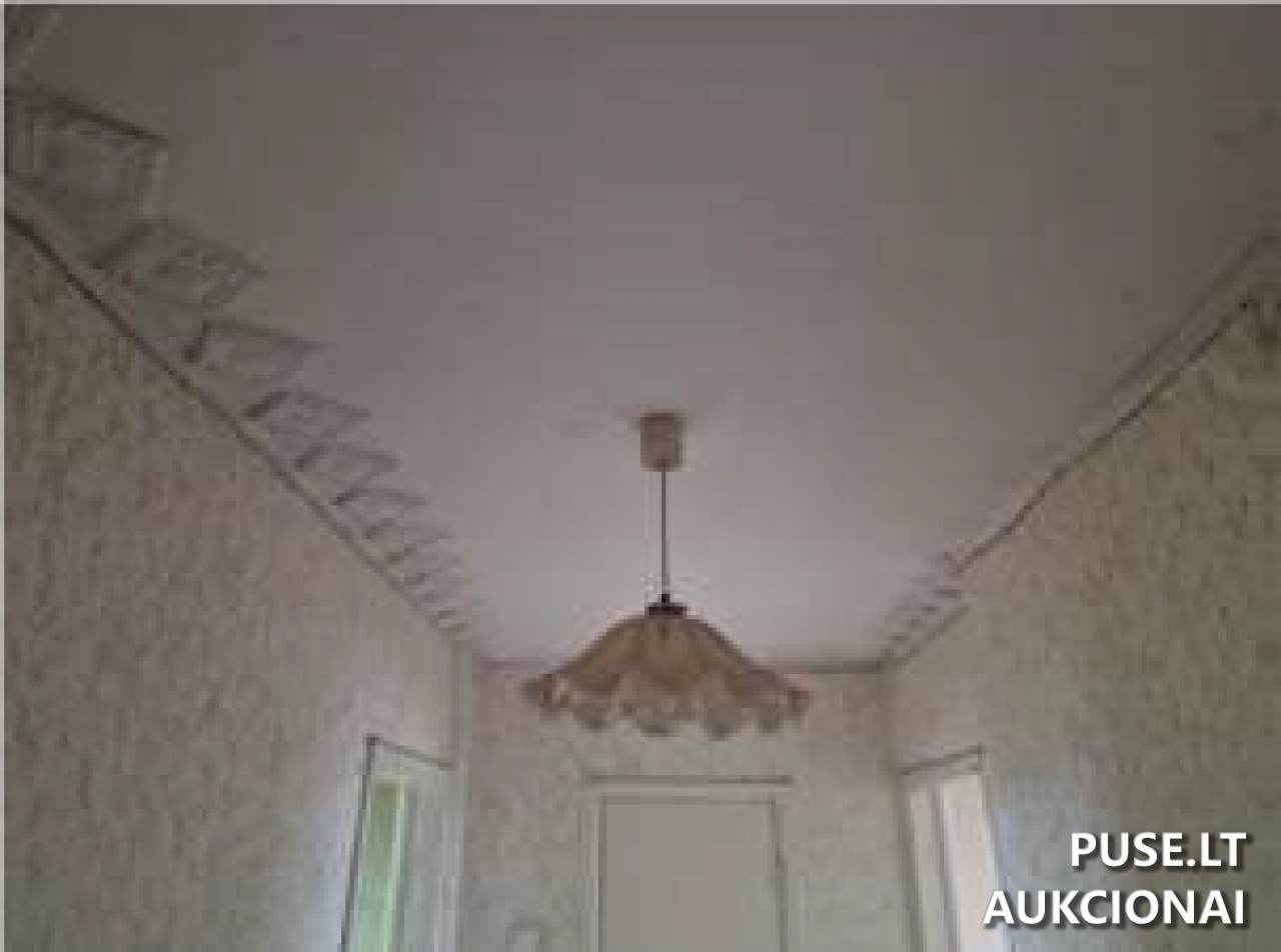 Butas Patalpos/Butai Darbininkų g. 11, 55484 Upninkai, Upninkų sen., Jonavos r. sav. 9