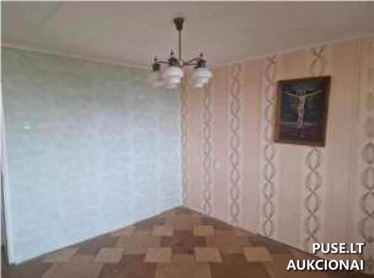 Butas Patalpos/Butai Darbininkų g. 11, 55484 Upninkai, Upninkų sen., Jonavos r. sav. 13