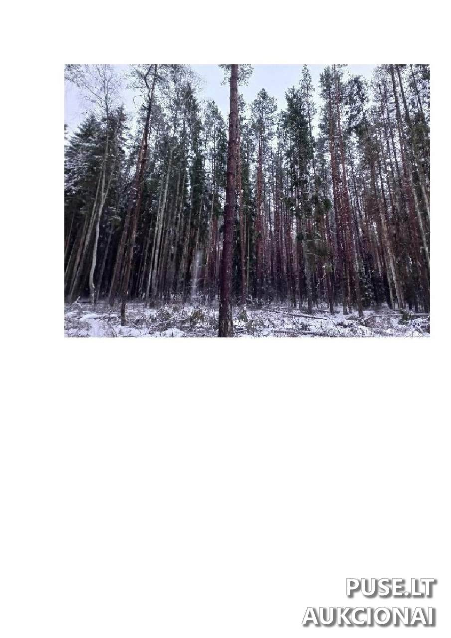 Žemės sklypas Sklypai Vergakiemis, Jakėnų sen., Varėnos r. sav. 1