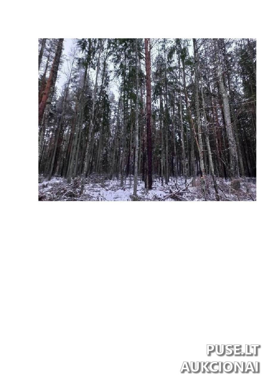 Žemės sklypas Sklypai Vergakiemis, Jakėnų sen., Varėnos r. sav. 3