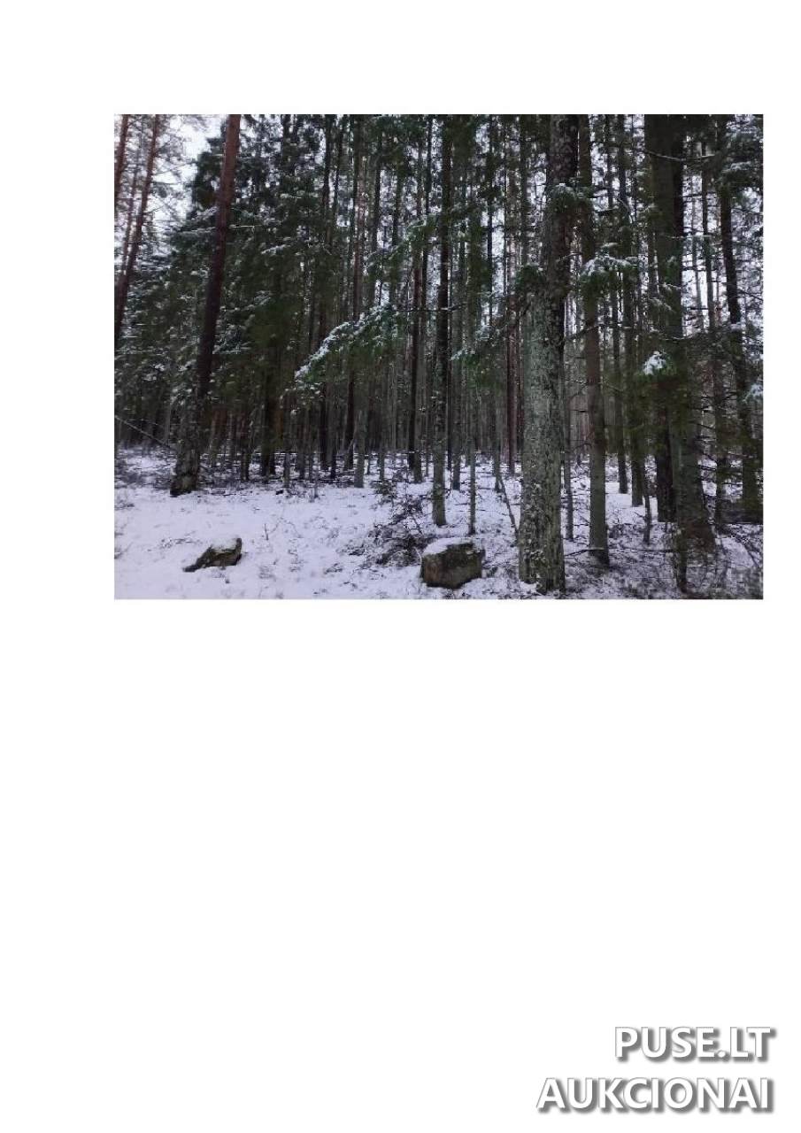 Žemės sklypas Sklypai Vergakiemis, Jakėnų sen., Varėnos r. sav. 9