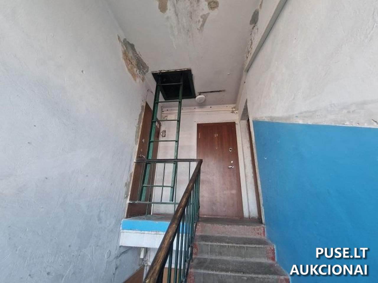 Neįrengta pastogė Patalpos/Butai Paupio g. 29A, 11341 Vilnius, Vilniaus m. sav. 5