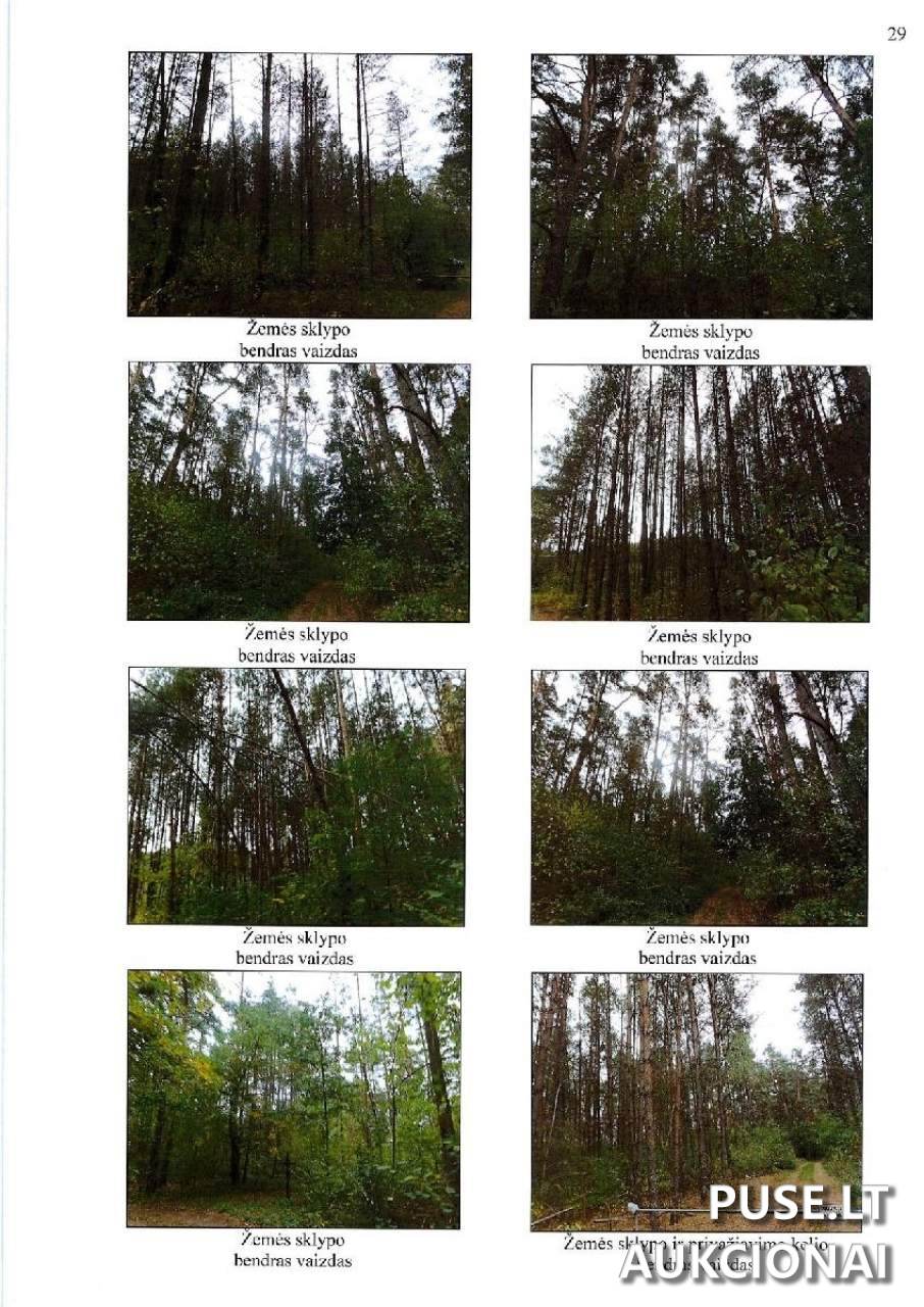 Žemės sklypas Sklypai Žilvičiai, Noragėlių sen., Lazdijų r. sav. 1