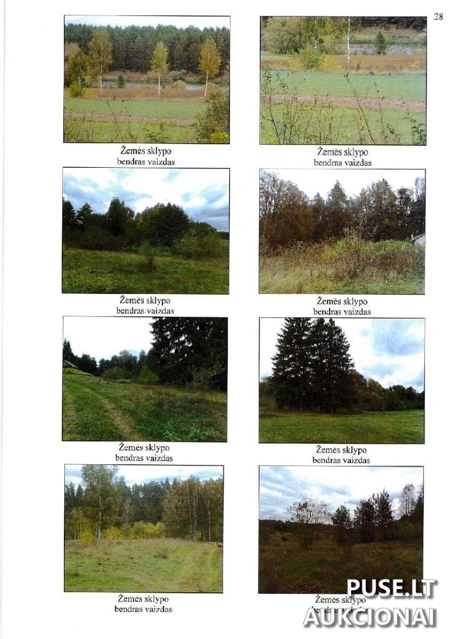 Žemės sklypas Sklypai Žilvičiai, Noragėlių sen., Lazdijų r. sav. 4