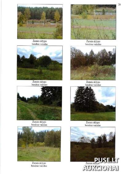 Žemės ūkio paskirties sklypo dalis Lazdijų rajone, Žilvičių kaime – pradinė kaina 3180 EUR