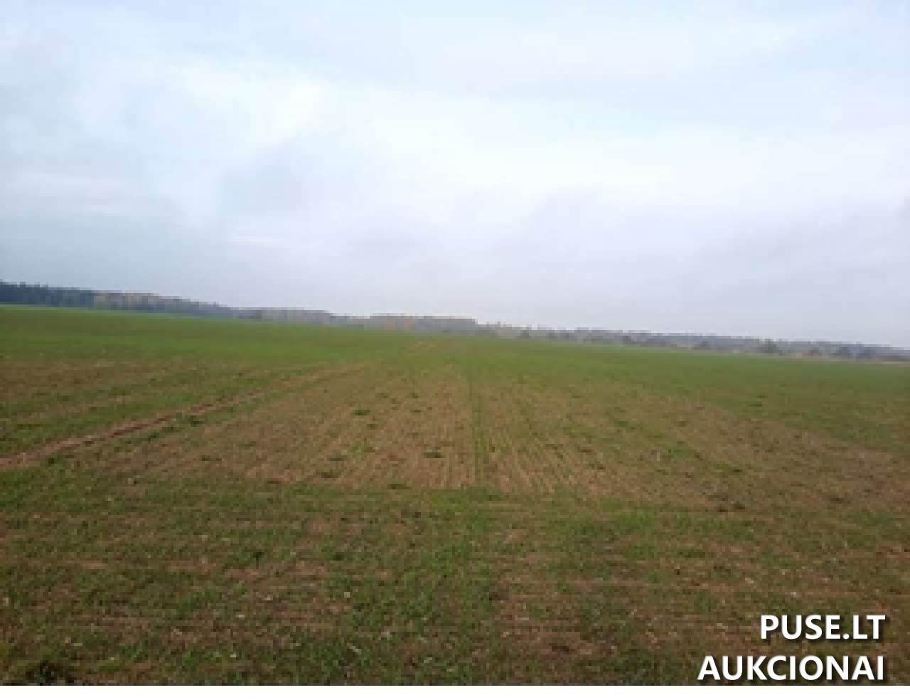 Žemės sklypas Sklypai Įsoniai, Lygumų sen., Pakruojo r. sav. 3