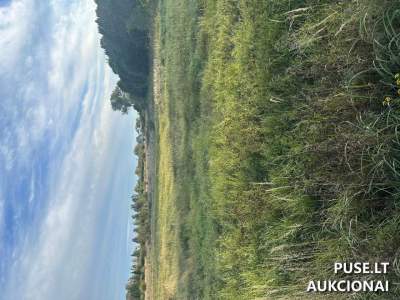 Išnuomojamas valstybinis žemės sklypas Panevėžio r., Ramygaloje, Vadoklių g. 30, pradinė kaina 1448 EUR