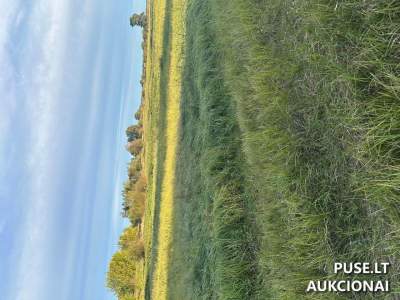 Žemės sklypo nuoma Panevėžio r. sav. Ramygaloje, Vienkiemio g. 16, pradinė kaina 261 EUR