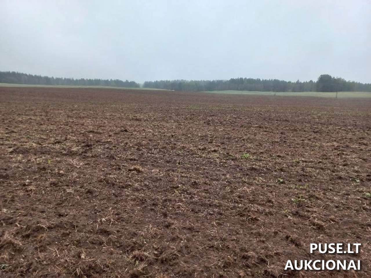 Žemės sklypas Sklypai Lobiniai, Lavoriškių sen., Vilniaus r. sav. 3