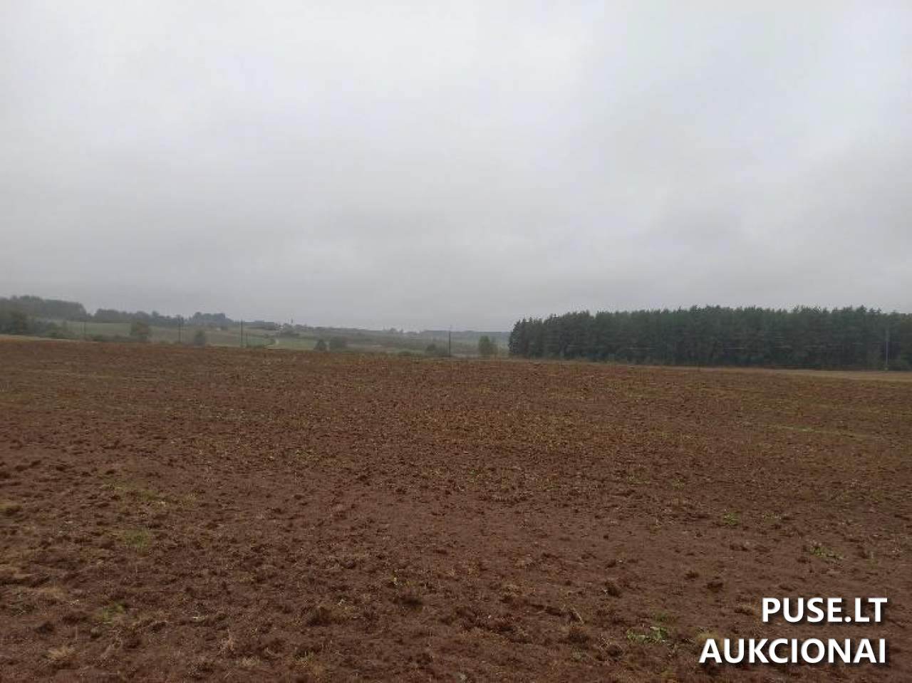 Žemės sklypas Sklypai Lobiniai, Lavoriškių sen., Vilniaus r. sav. 4