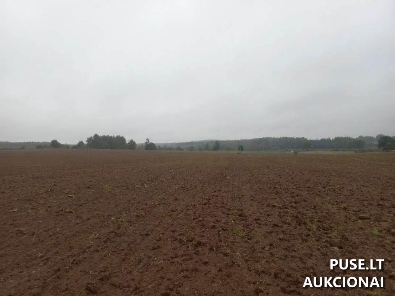 Žemės sklypas Sklypai Lobiniai, Lavoriškių sen., Vilniaus r. sav. 5