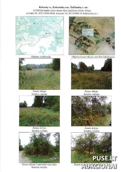 Žemės ūkio paskirties sklypas Šalčininkų rajone, Rukonių kaime, 0.55 ha, pradinė kaina 656 EUR