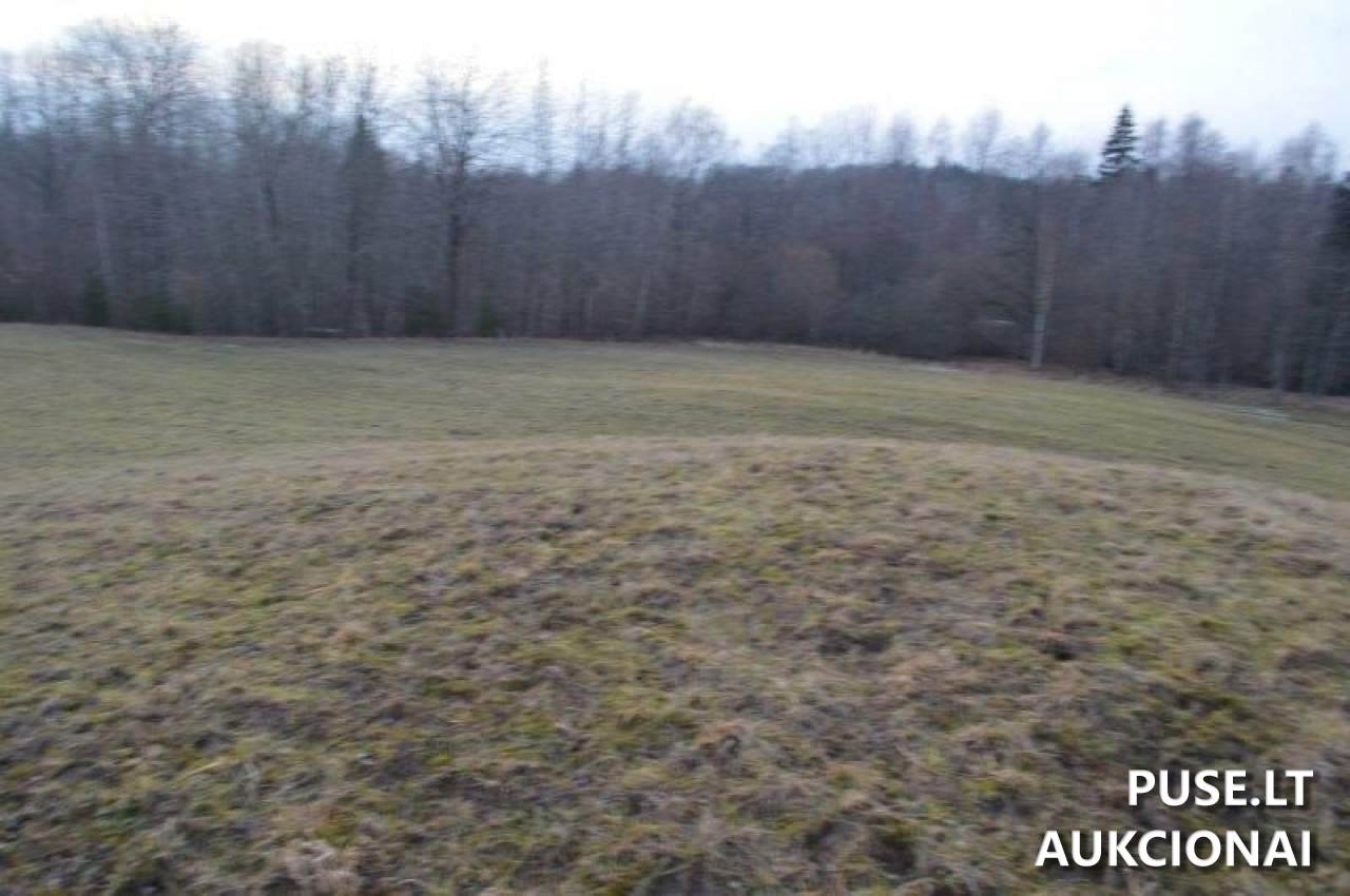 Žemės sklypas Sklypai Vilkaičiai, Žlibinų sen., Plungės r. sav. 11