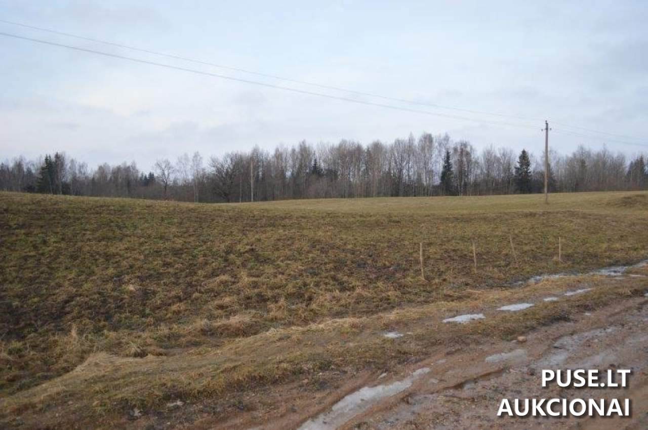 Žemės sklypas Sklypai Vilkaičiai, Žlibinų sen., Plungės r. sav. 19