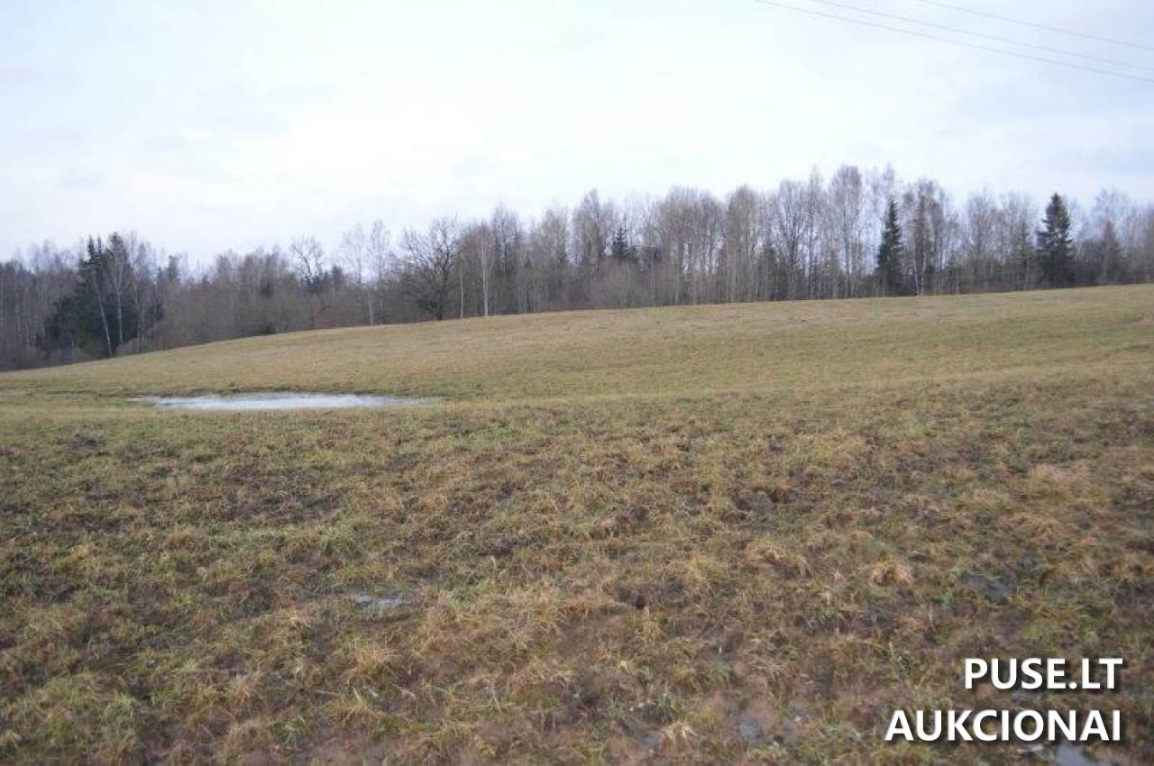 Žemės sklypas Sklypai Vilkaičiai, Žlibinų sen., Plungės r. sav. 22